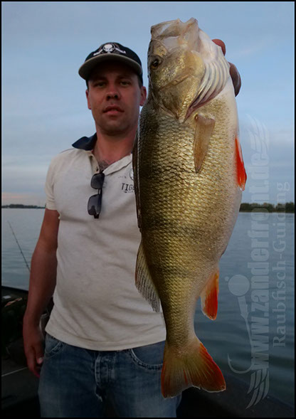 barsch guiding