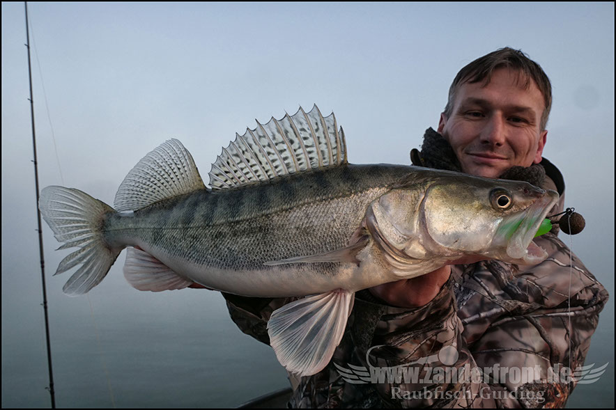 Seika Pro speed shad