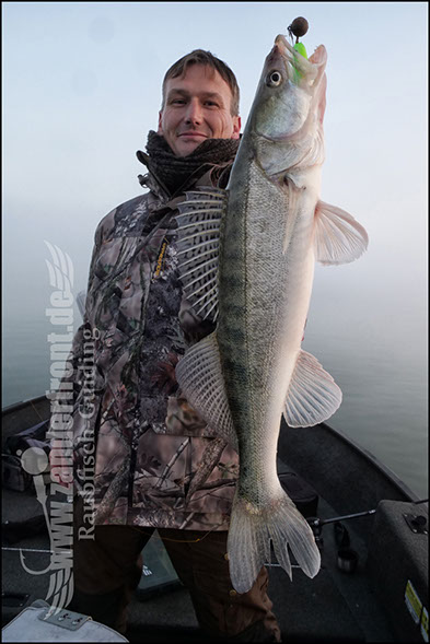 Seika Pro speed shad