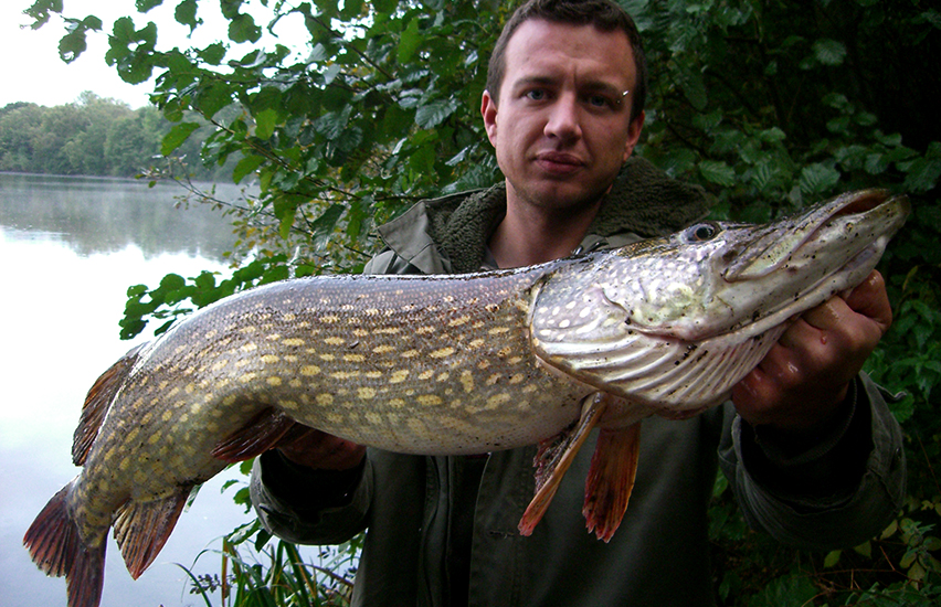 mit köderfisch auf Hecht
