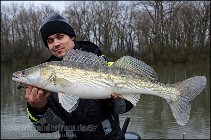 monster Hecht vertikal