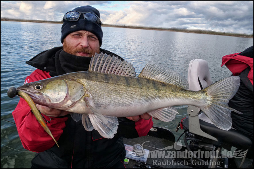 monster Hecht vertikal