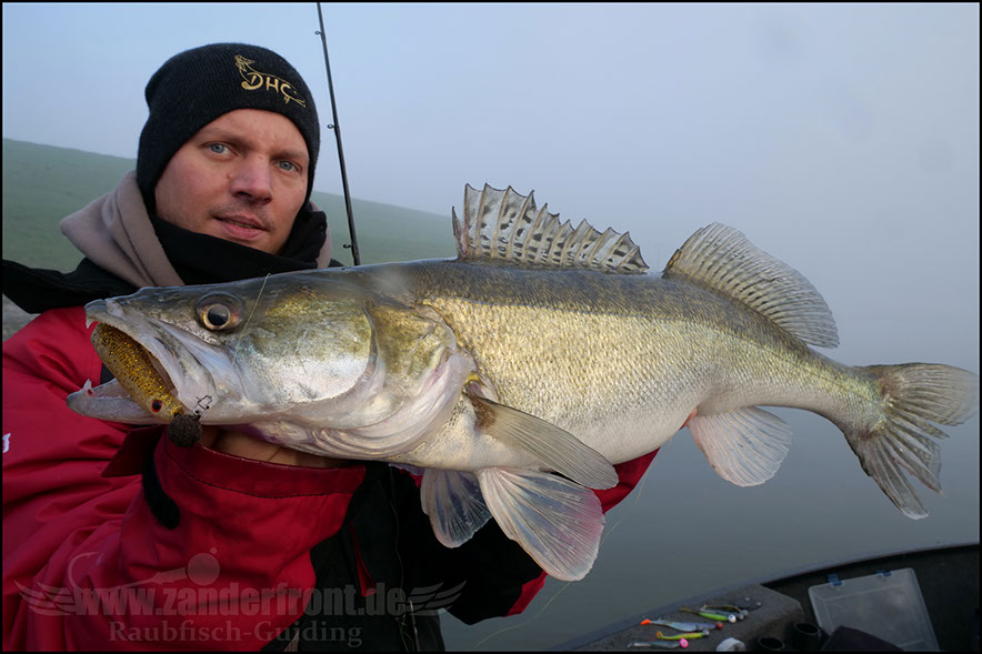 monster Hecht vertikal