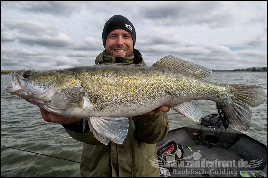 monster Hecht vertikal