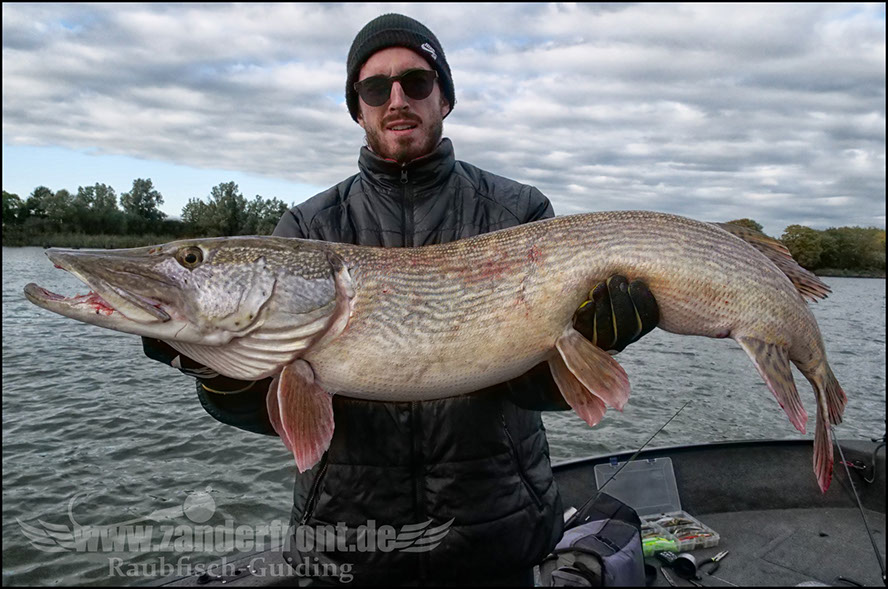 monster Hecht vertikal