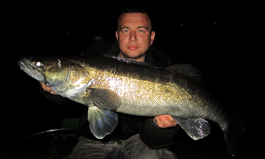 faulenzen auf zander