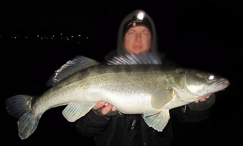 spinnfischen auf zander