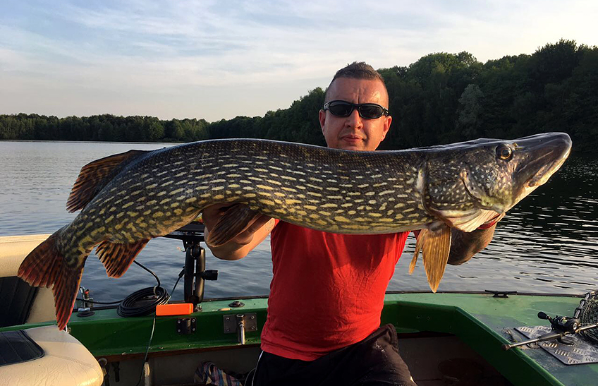 Spinnfischen auf Hecht