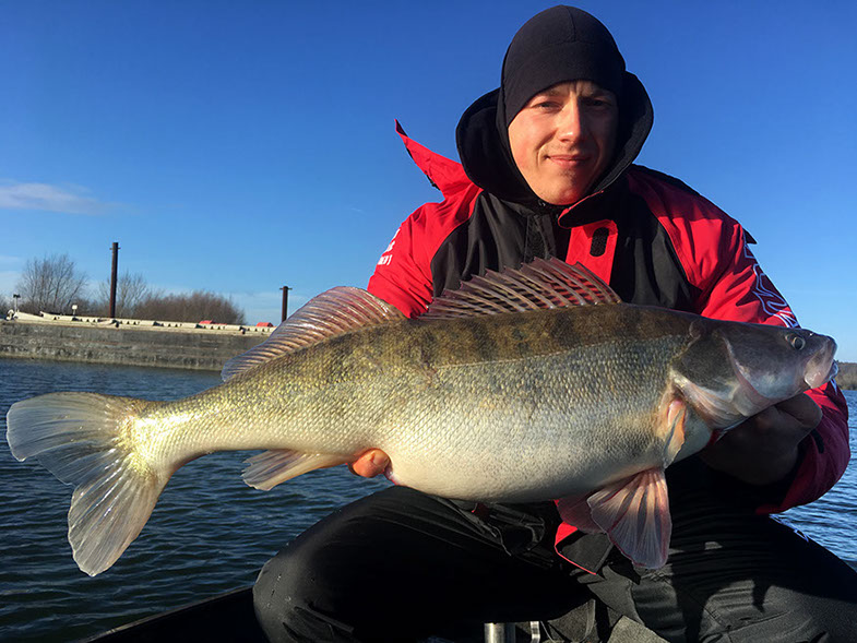 Daiwa tournament 8 braid