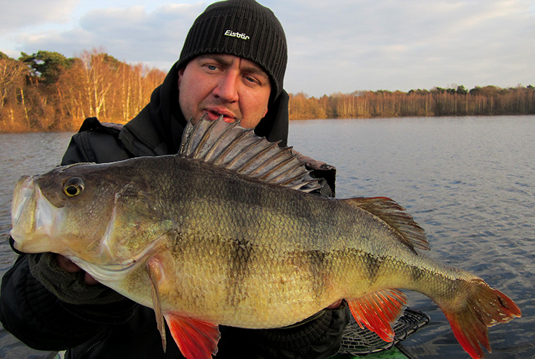 Barsche im Baggersee