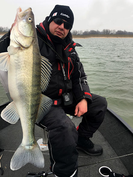 Fox Rage Fire Ball Finesse