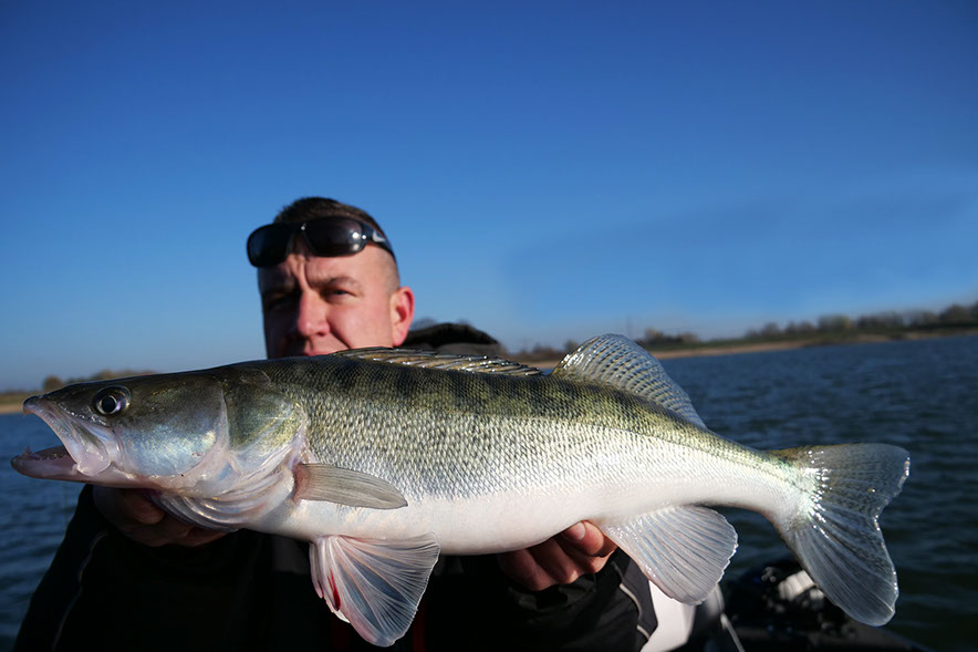 Gamakatsu treble hook