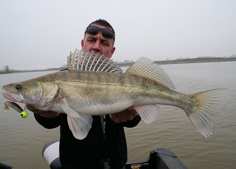 uga jigbaits
