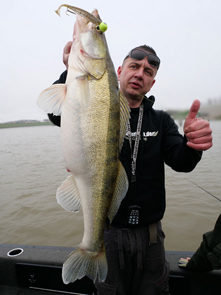 uga jigbaits