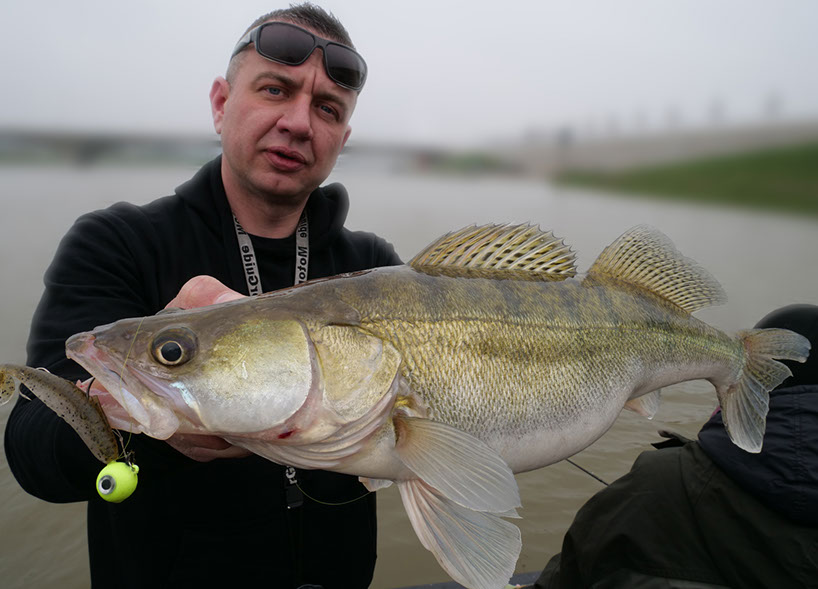 uga jigbaits