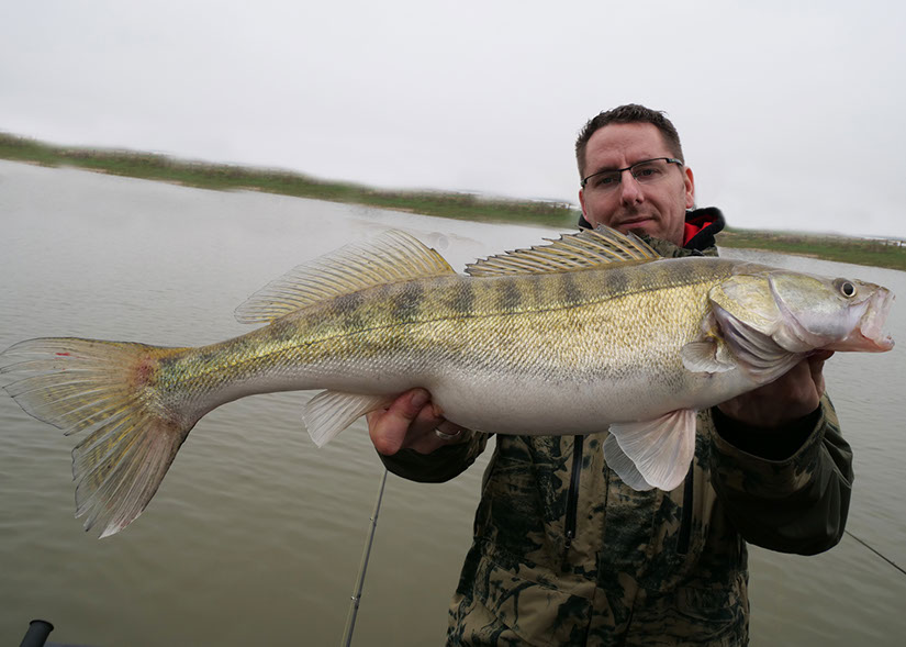 raubfisch guiding