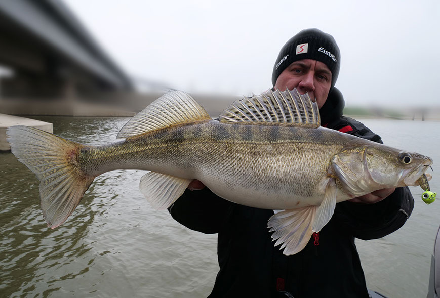 keitech easy shiner