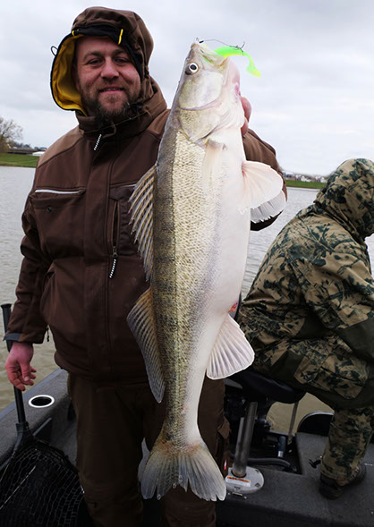 seika pro shad