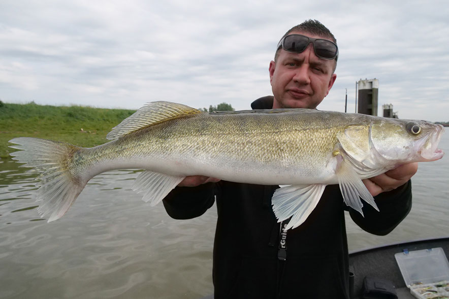 daiwa tournament 8 braid evo