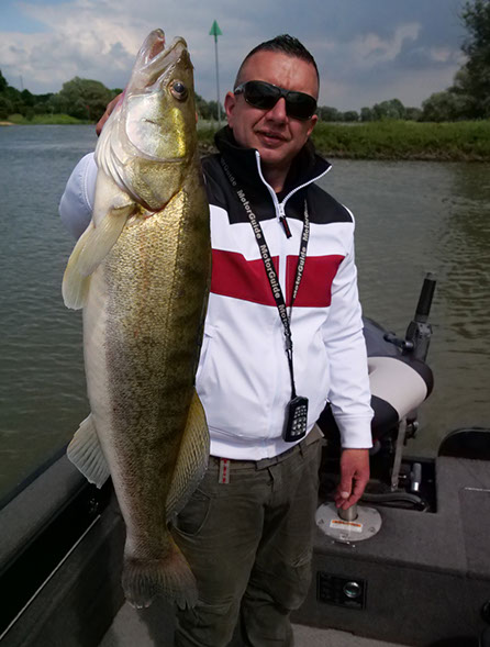 Fish Arrow Flash J Shad