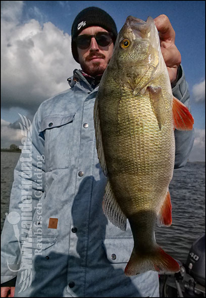 Daiwa tournament 8 braid evo