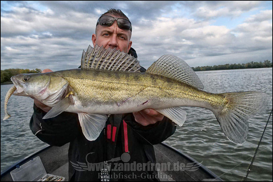 Daiwa tournament 8 braid evo