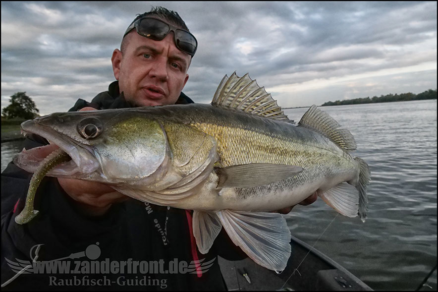 Daiwa tournament 8 braid evo