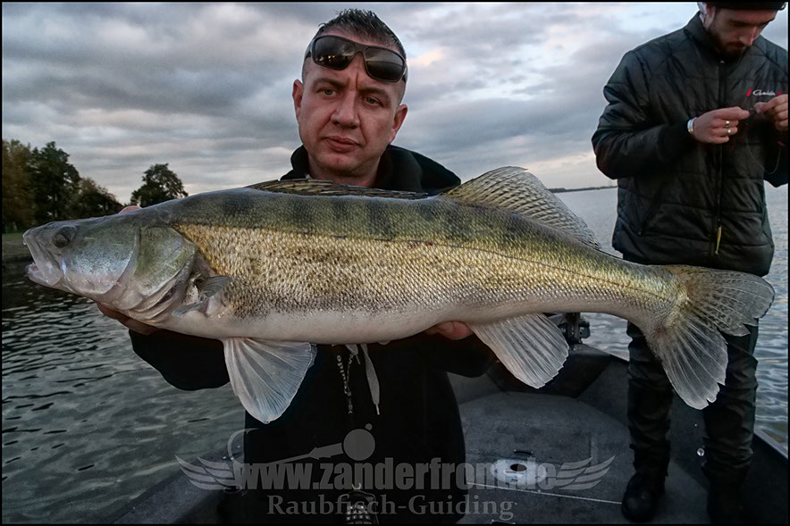 Daiwa tournament 8 braid evo