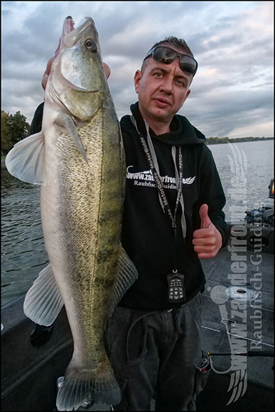 Daiwa tournament 8 braid evo