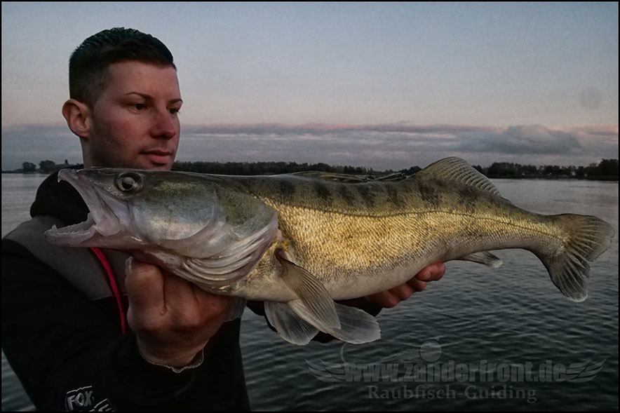 Daiwa tournament 8 braid evo