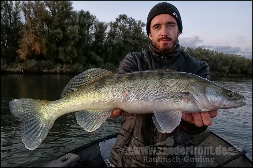 Daiwa tournament 8 braid evo