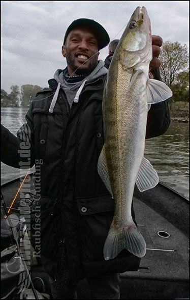 Daiwa tournament 8 braid evo