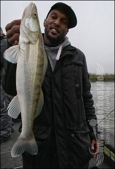 Daiwa tournament 8 braid evo