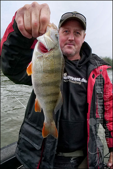 Daiwa tournament 8 braid evo