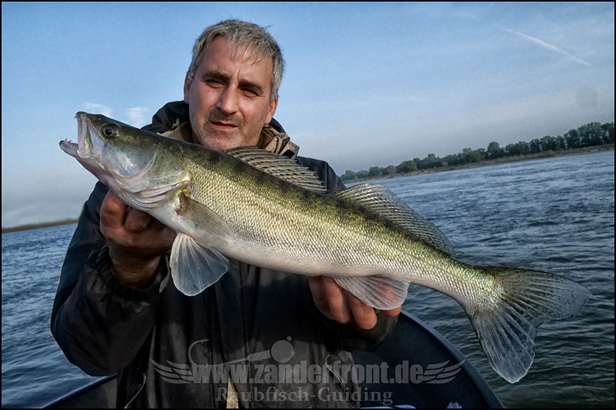 Daiwa tournament 8 braid evo