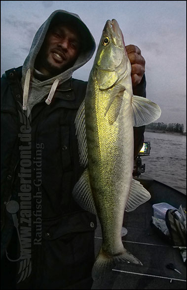 Daiwa tournament 8 braid evo