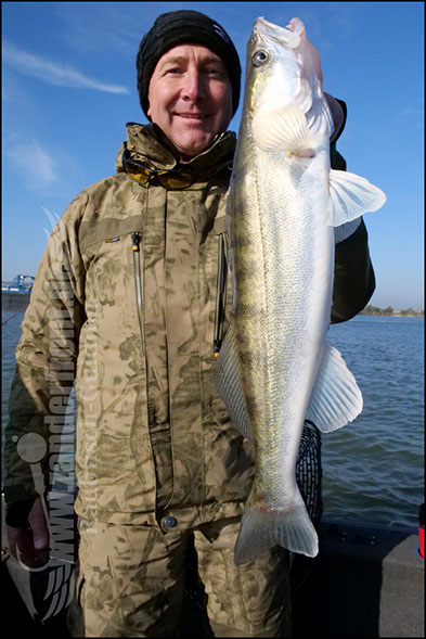 Daiwa tournament 8 braid evo