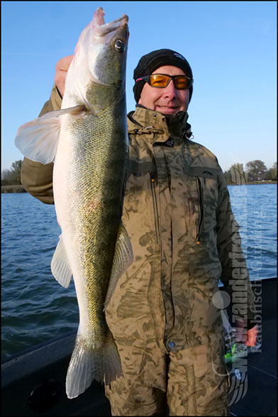 Daiwa tournament 8 braid evo