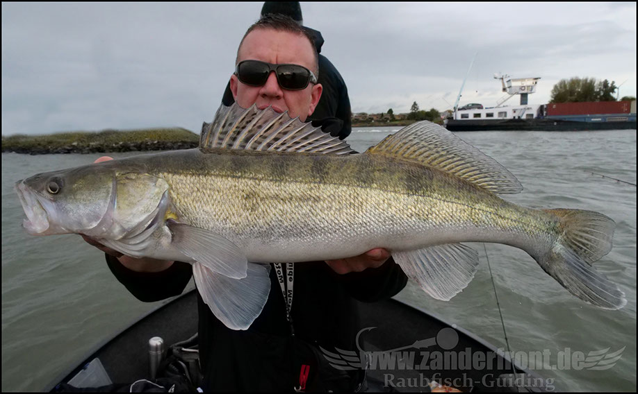 Daiwa tournament 8 braid evo