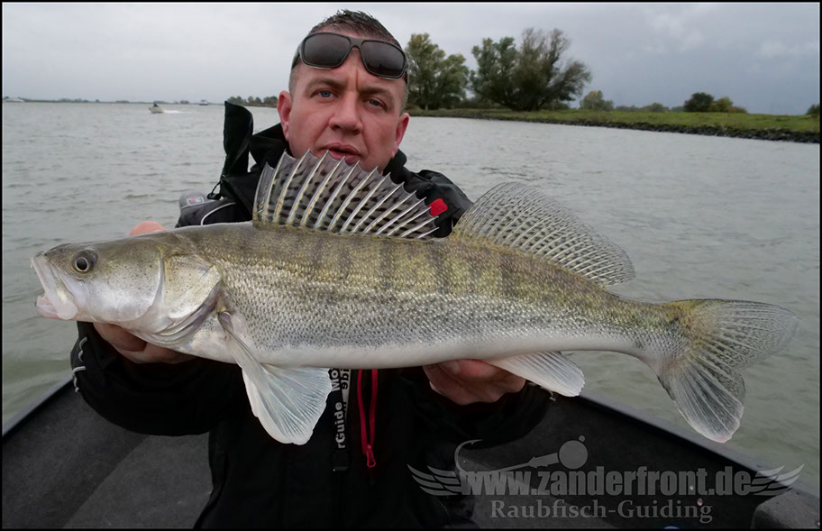 Daiwa tournament 8 braid evo