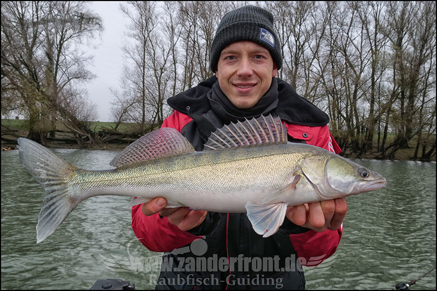 Seika Pro speed shad