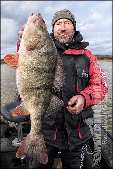 vertikal angeln auf zander