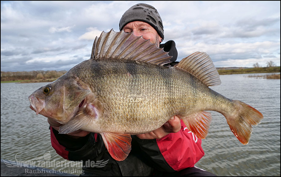 vertikal angeln auf zander