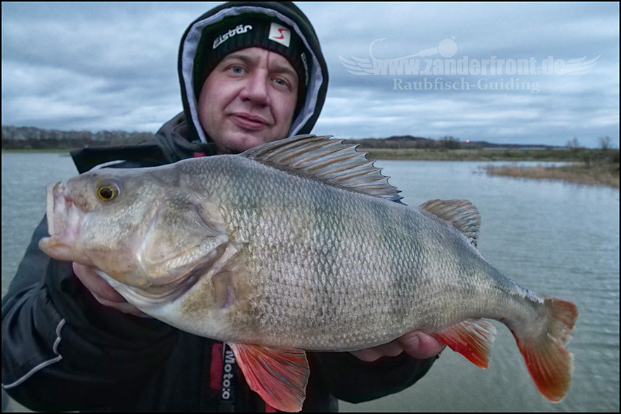vertikal angeln auf zander