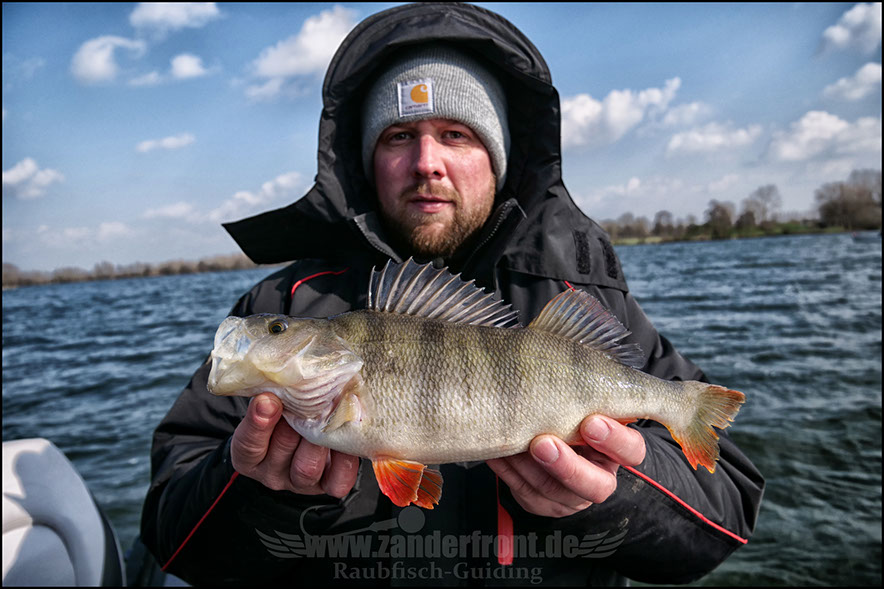 vertikal angeln auf zander