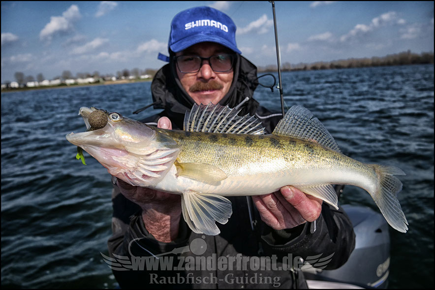 vertikal angeln auf zander