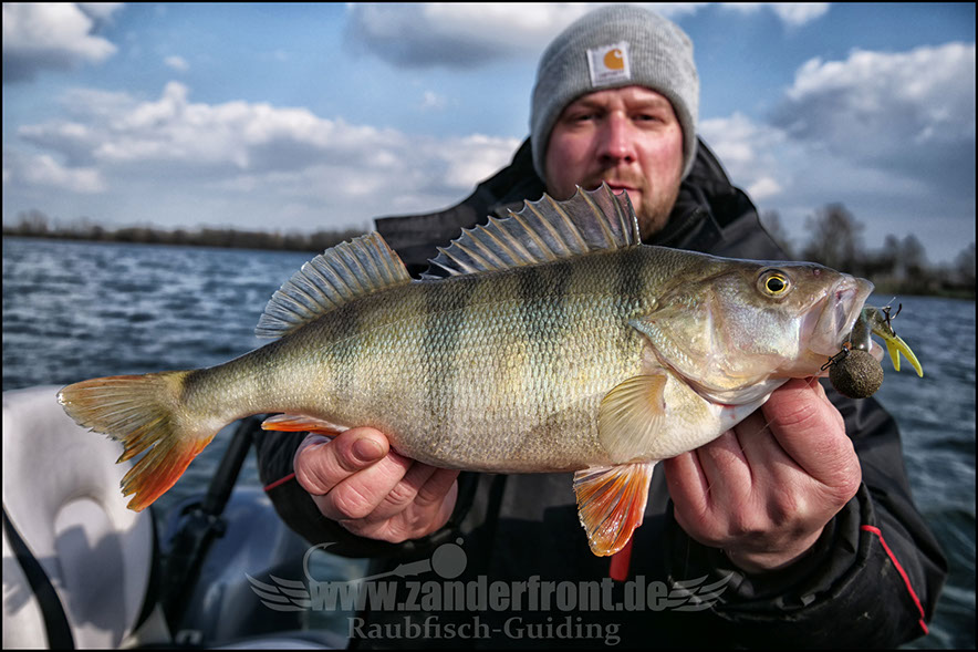 vertikal angeln auf zander
