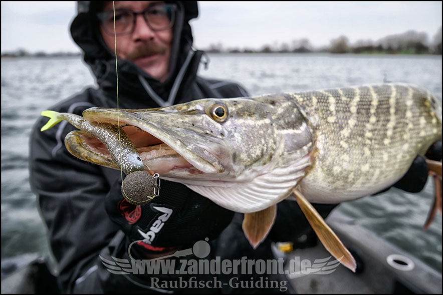 vertikal angeln auf zander