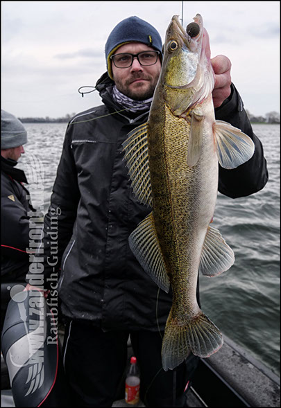 vertikal angeln auf zander