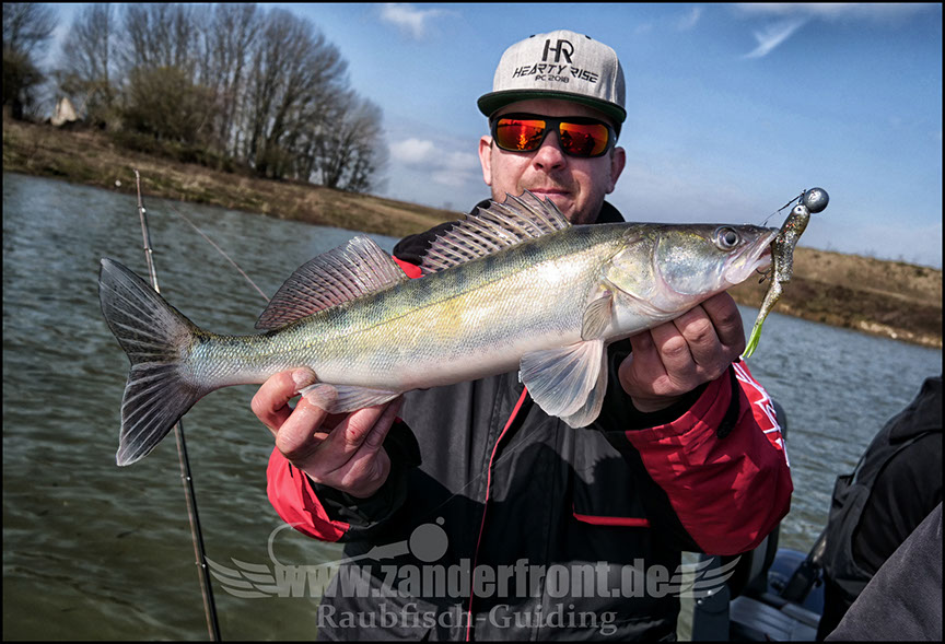 vertikal angeln auf zander